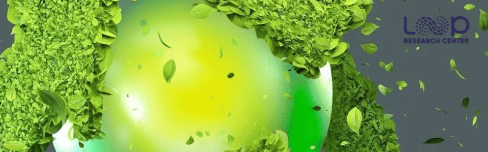 2° Workshop annuale del LOOP Research Center